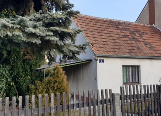 20190216_155005.jpg