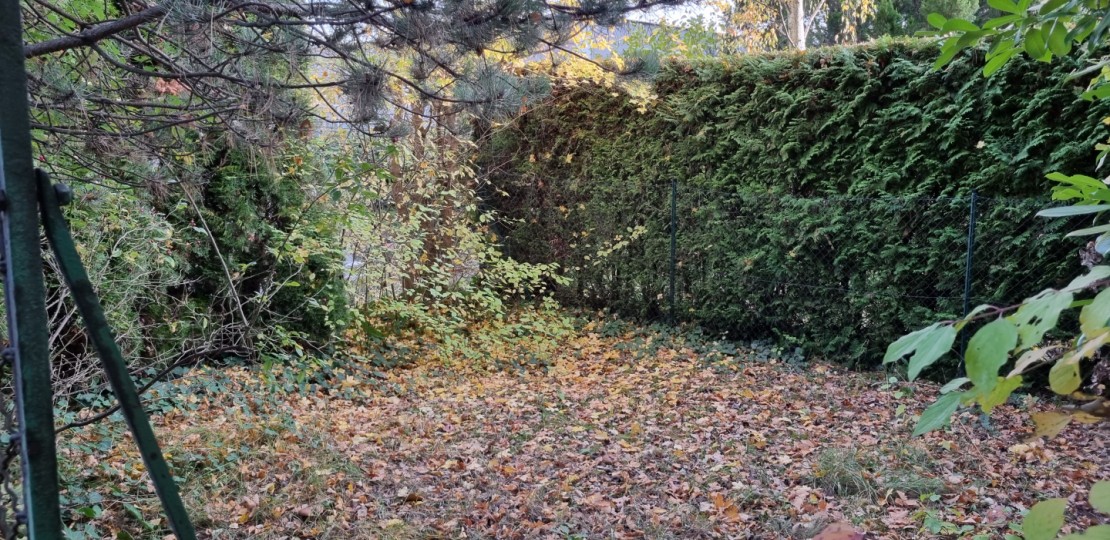 20231109_152321.jpg