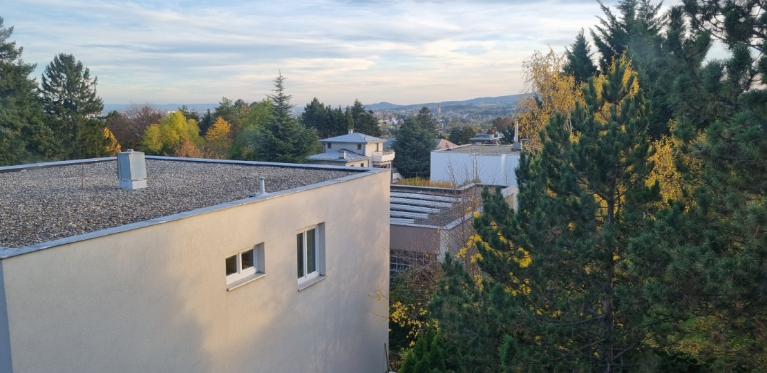 20231109_153800.jpg