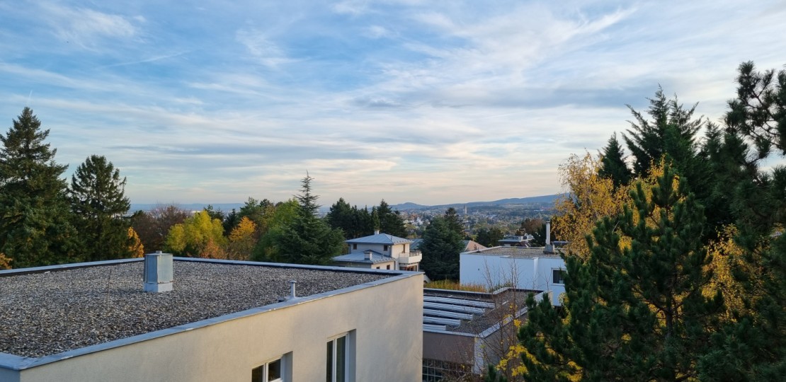 20231109_153831.jpg